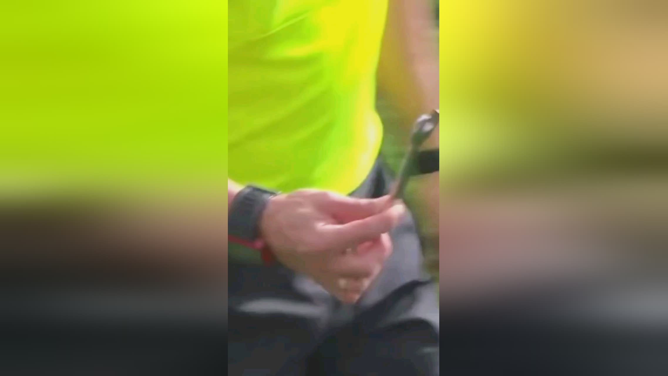 来更为严