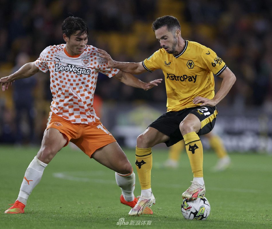 球迷来说 球迷来说