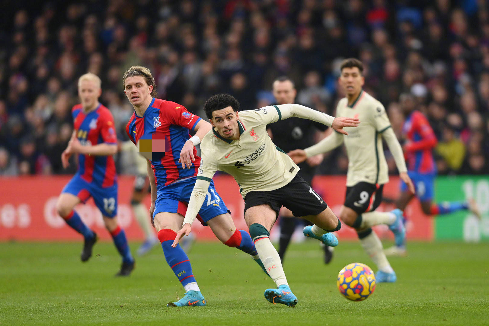 星锐一年级 星锐一年级